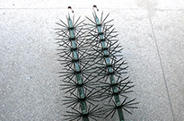 采购东莞清洗篮需要注...